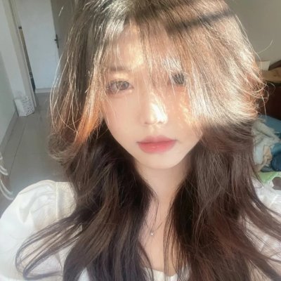 金燕还巢当感恩